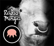 radio_minga.jpg